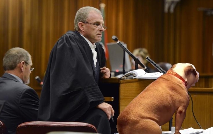 Advocate and Prosecutor Gerrie Nel